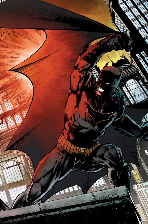 BvSFINCH_BANNING_colors